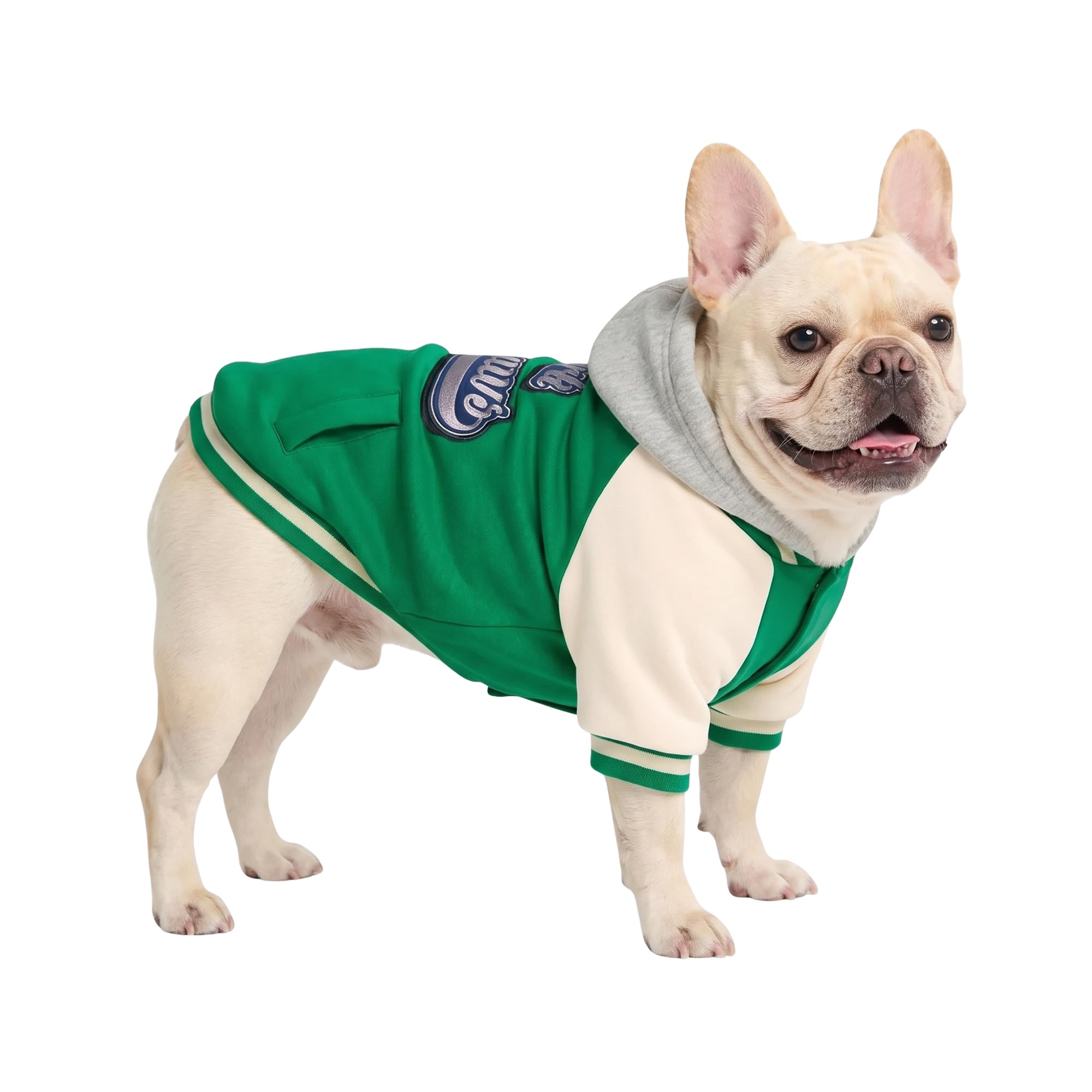 Spark Paws Varsity Dog Jacket - Dog Hoodie Winter Coat for Small Large Dogs