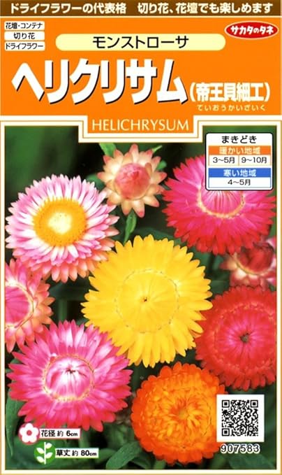 Amazon サカタのタネ 実咲花75 ヘリクリサム 帝王貝細工 モンストローサ 10袋セット 花