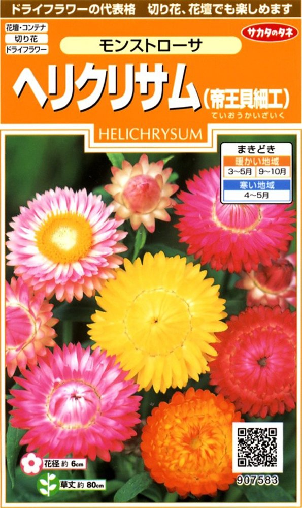 Amazon | サカタのタネ 実咲花7583 ヘリクリサム (帝王貝細工)モンスト