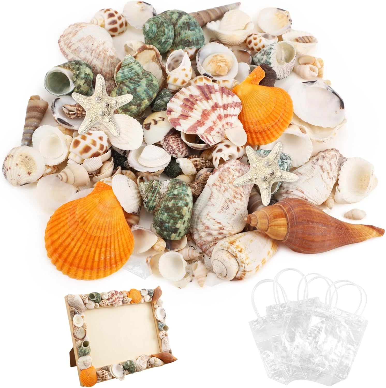 1000 G Mixed Sea Shells, 200-320 Pcs Natural Seashells with Plastic Starfish, Various Sizes for Crafting, Seashells for Fish Tank and Home Decor