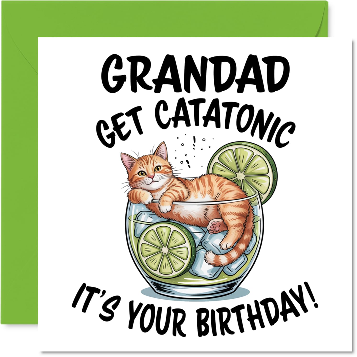 Grandad Birthday Card - Catatonic - Happy Birthday Card for Grandad from Grandson Granddaughter, 145mm Cute Animal Design Bday Greeting Cards