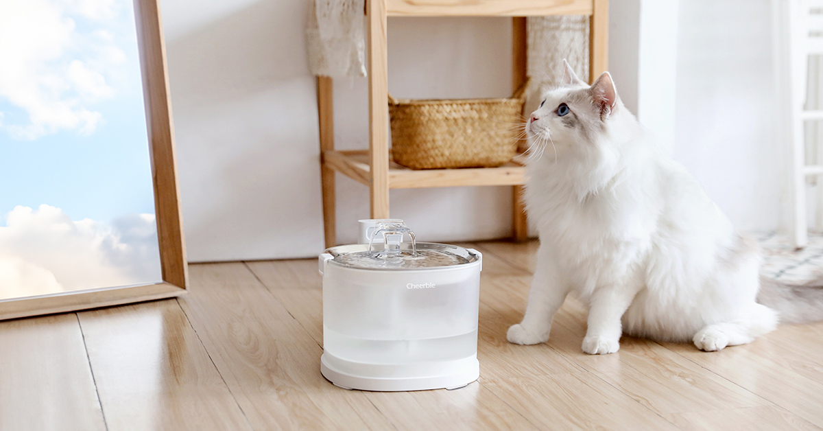 Amazon | Cheerble 猫自動給水器 水飲み器 ポンプレス磁力給水