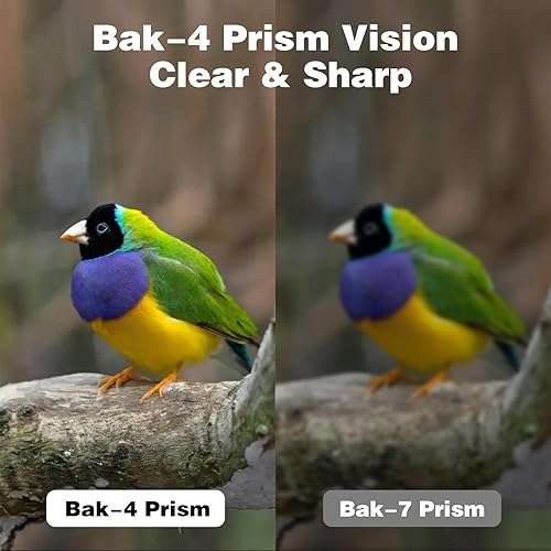 Miniatura 5 de Grathia Binoculares compactos pequeños 15X25