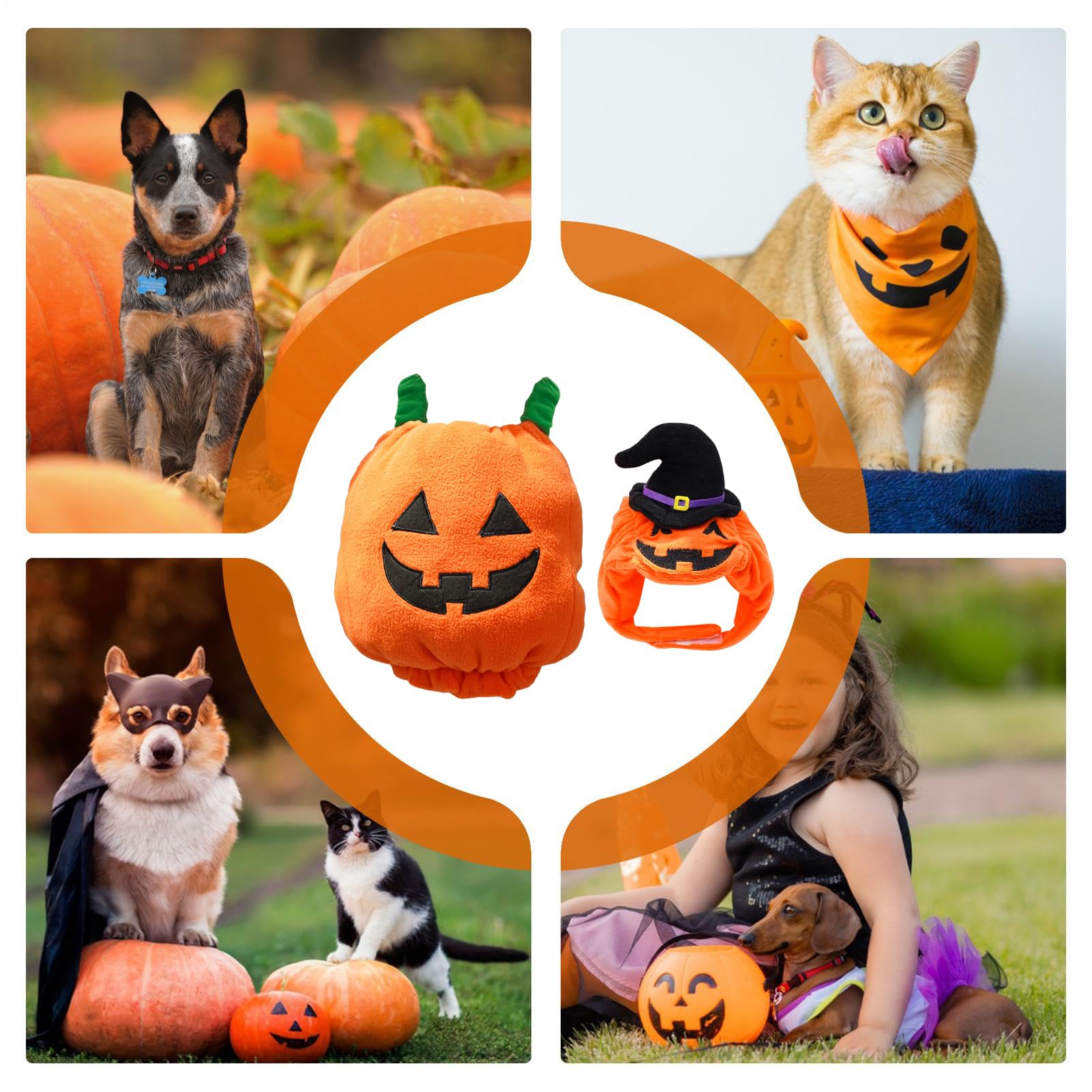 Travestimento per Cani a Forma di Cosplay Halloween Per Animali | Vestito Caldo Canino Adatto Per Feste A Tema, Sessioni Fotografiche, Passeggiate Quotidiane, Autunno E Inverno