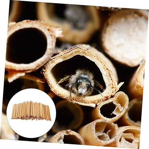 Miniatura 6 de Toddmomy 250 Pcs Mason Bee Tube Straws Coffee Bee Hive Nesting Tubes for Bee Mason Bee Supplies Reed Bee Tube Props Bees House Tubes Ground Feeders