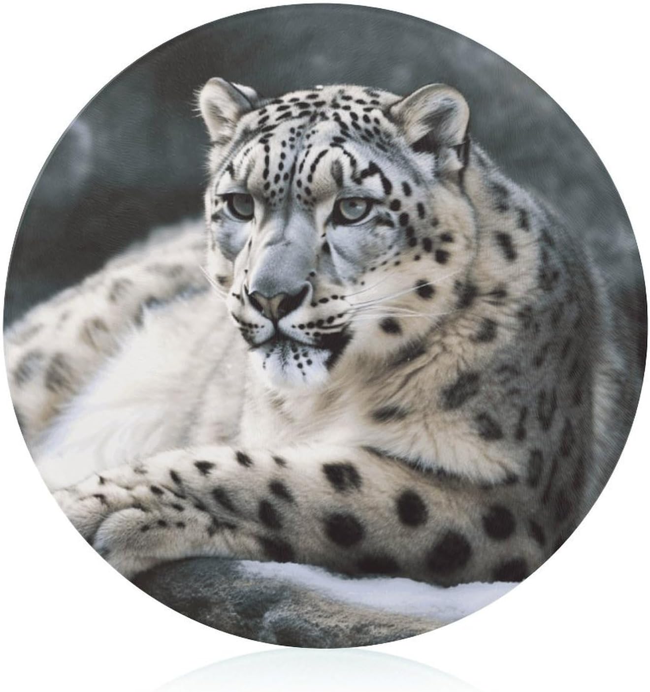 Snow Leopard Chopping Block Tempered Glass Cutting Board Mats Round Countertop Cutting Boards Small Charcuterie Boards Bar Cheese Board Snack Tray