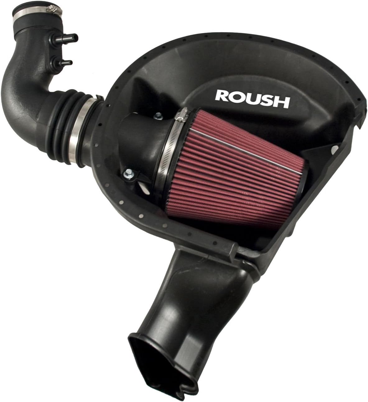 Roush Performance Products 421828 Cold Air Intake Kit, 1 Pack