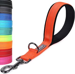 VIVAGLORY Short Dog Leash Closelyt Traffic Leash for Dog with Soft Padded Handle for Training & Walking, Padded Neoprene & Heavy Duty, 12inch, Orange