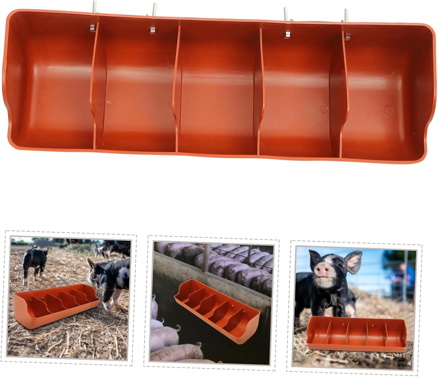 Plastic Pig Feeder with Compartments Feeding Trough for Multiple Piglets Quality Plastic Material for Food and Water Design for Long Term Use