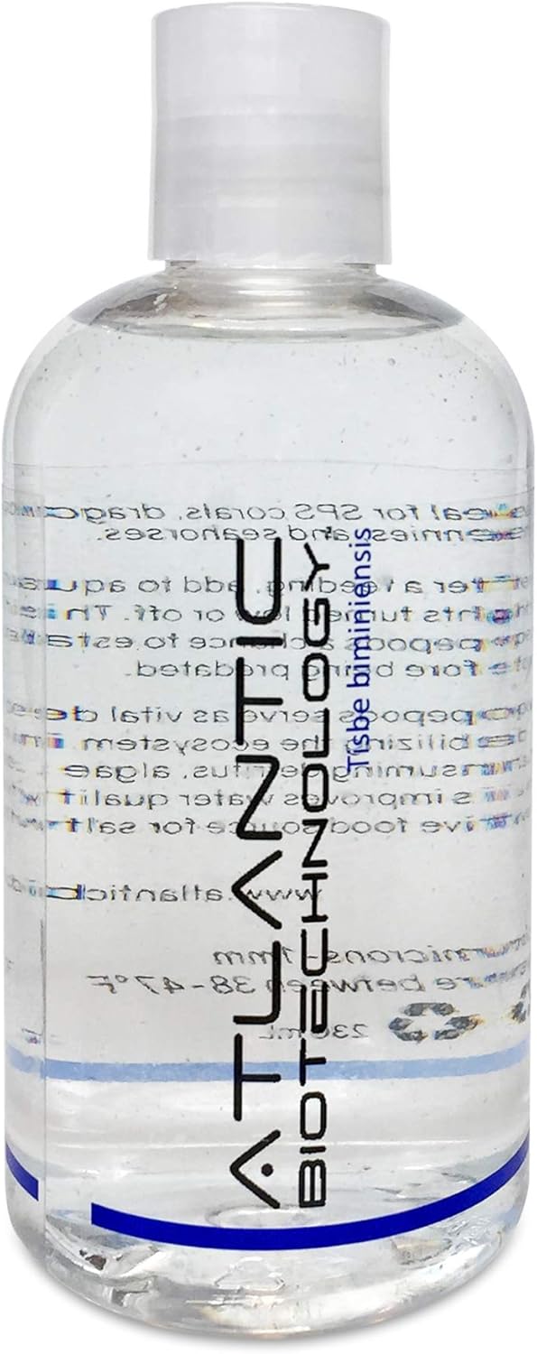 Atlantic 3000+ Live copepods Tisbe biminiensis 8oz