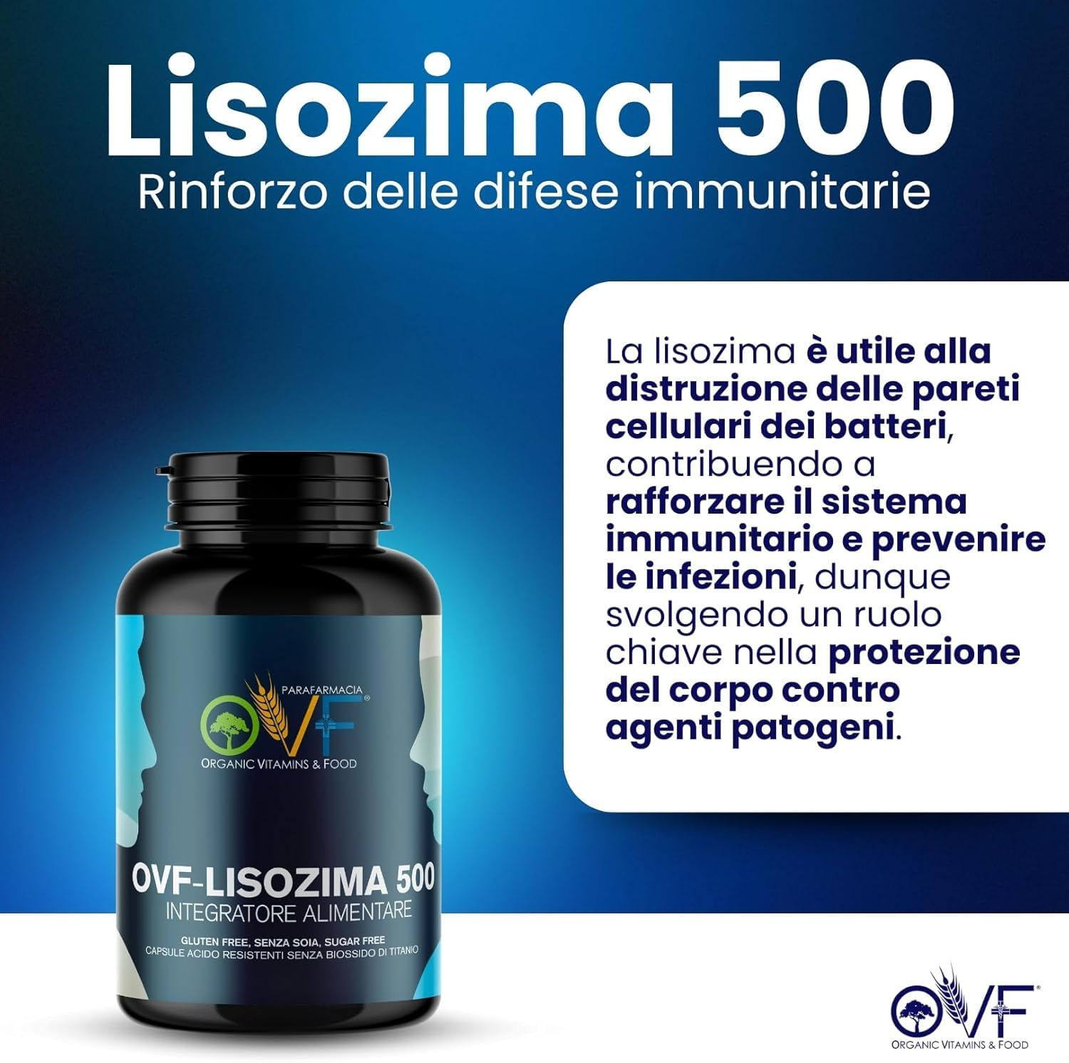 Parafarmacia OVF, 120 CAPS di lisozima 500 mg, (2 mesi di fornitura, Formato Convenienza) immunostimolante