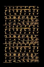 Hildegard Secret Language Journal: Secret Journal