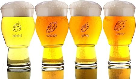 American Made Uniquely Labeled Beer Glass | Amazon