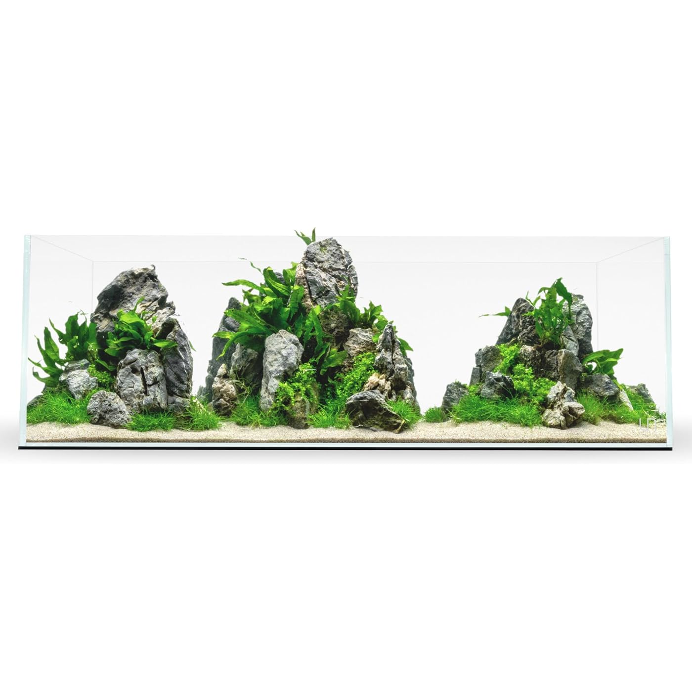 Gallery image 1