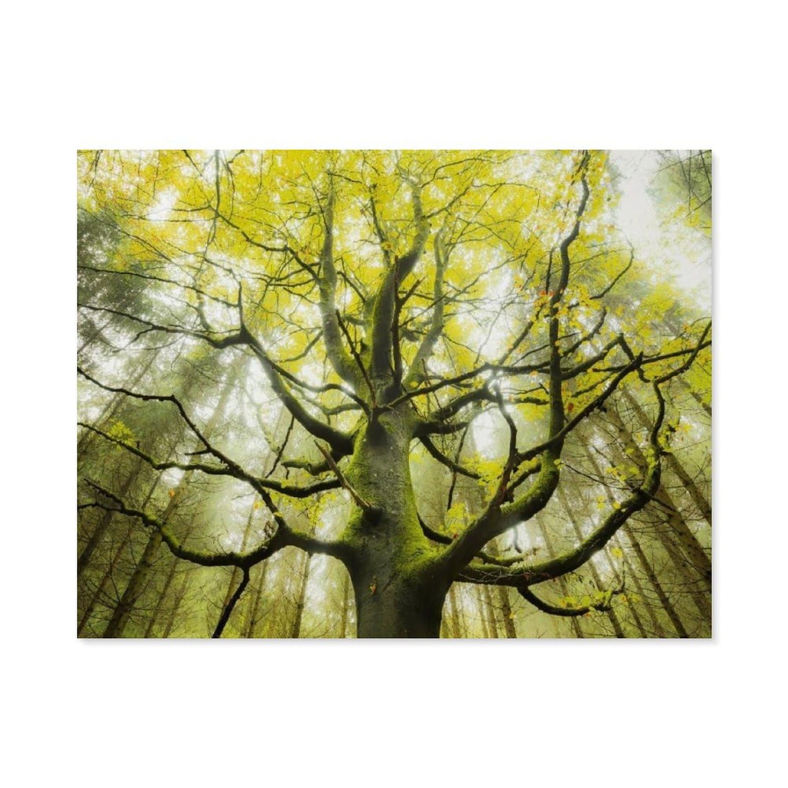 Beayodkp (15X30cm）6X12 Inch Vintage Metal Tin Sign，Dream Tree，Funny Bathroom Decor, Restroom Decoration, Funny Bathroom Wall Art Tin Plaque-E75