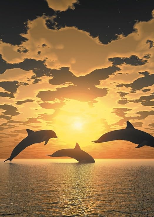 Amazon Co Jp アートデリ ポスター Dxポスター イルカのポスター 海 サーフ ハワイ リゾート モダン 現代アート P A1 Glt 1604 0018 P A1 Glt 1604 0018 ホーム キッチン Amazon Co Jp アートデリ ポスター Dxポスター イルカのポスター 海 サーフ ハワイ リゾート モダン 現代アート P A1 Glt 1604 0018 P A1 Glt 1604 0018 ホーム キッチン