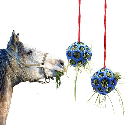 Hay Ball for Horses, Goats, Sheep, Stress Relief, Pack of 2 (Blue)