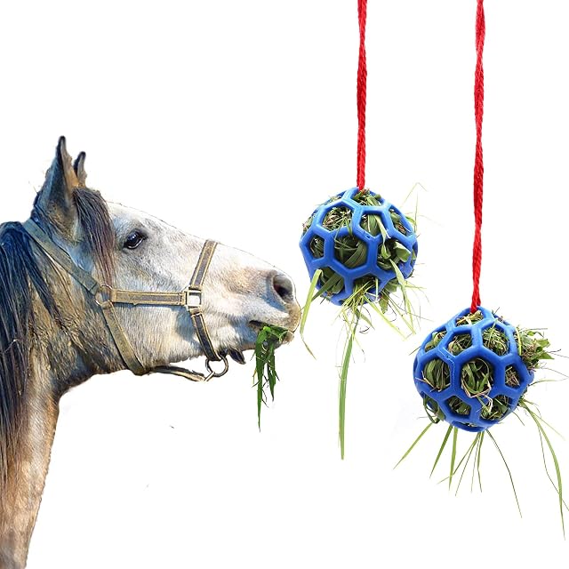 Besimple - Juego de 2 Bolas de heno para Caballos, Cabras, ovejas, para aliviar el estrés (Azul)