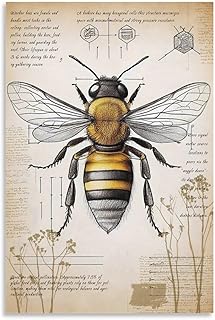 VMXWLL Vintage Honey Bee Canvas Wall Art - Scientific Entomology Anatomy Chart Poster - Rustic Farmhouse Kitchen & Classroom Decor - Unframed 12x18 Inch