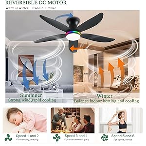 JSAITEE Ceiling Fan with Light, 48" RGB Low Profile Ceiling Fans with Lights and Remote Control, Dimmable, DC Reversible Motor, Noiseless, 6 Speeds Flush Mount Black Ceiling Fan for Bedroom