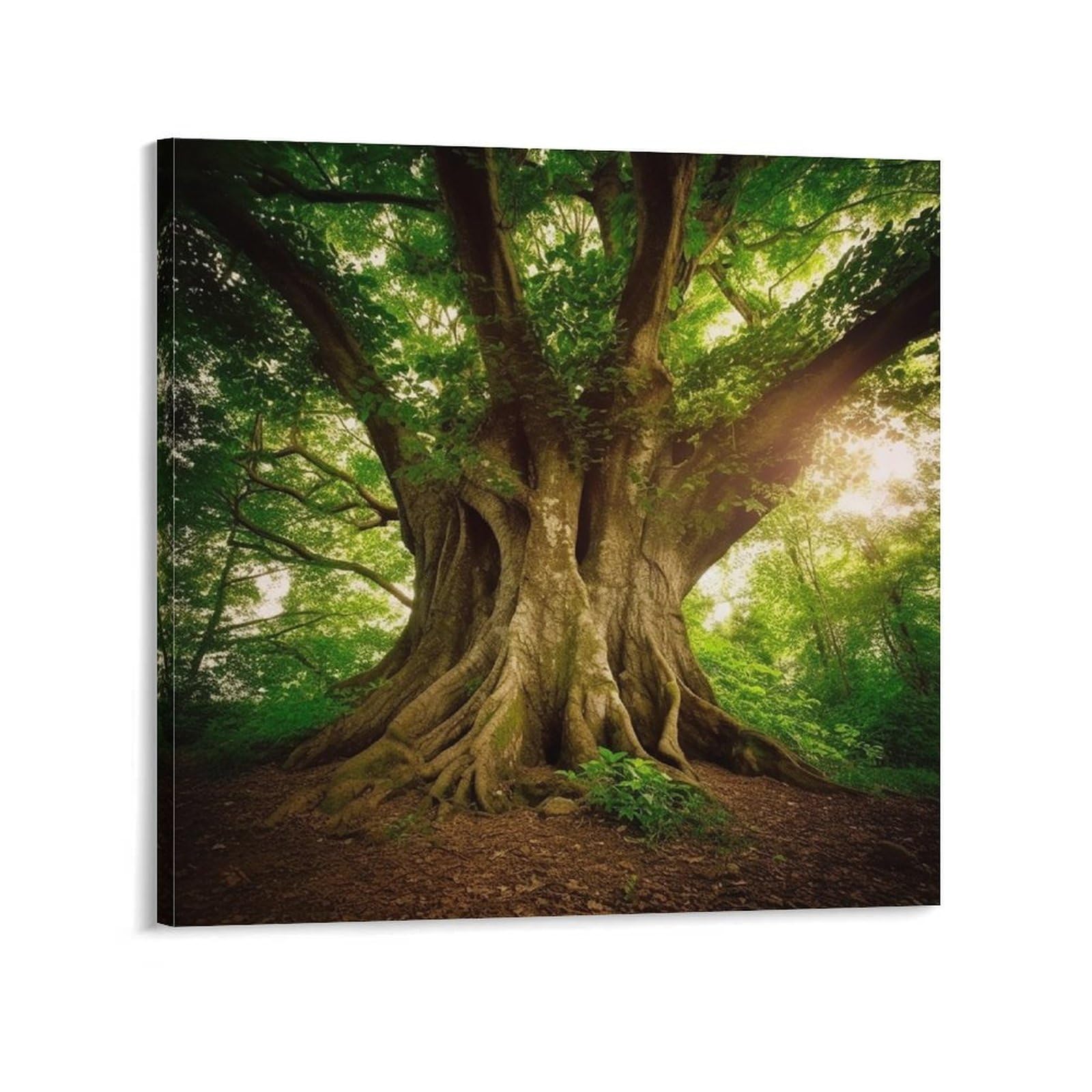 Thick Tree Canvas Wall Art for Bedroom 28x28inch(70x70cm) Canvas Prints Artwork for Walls Modern Picture Artwork Painting for Living Room Aesthetic Wall Paintings for Bathroom Kitchen Office Decor