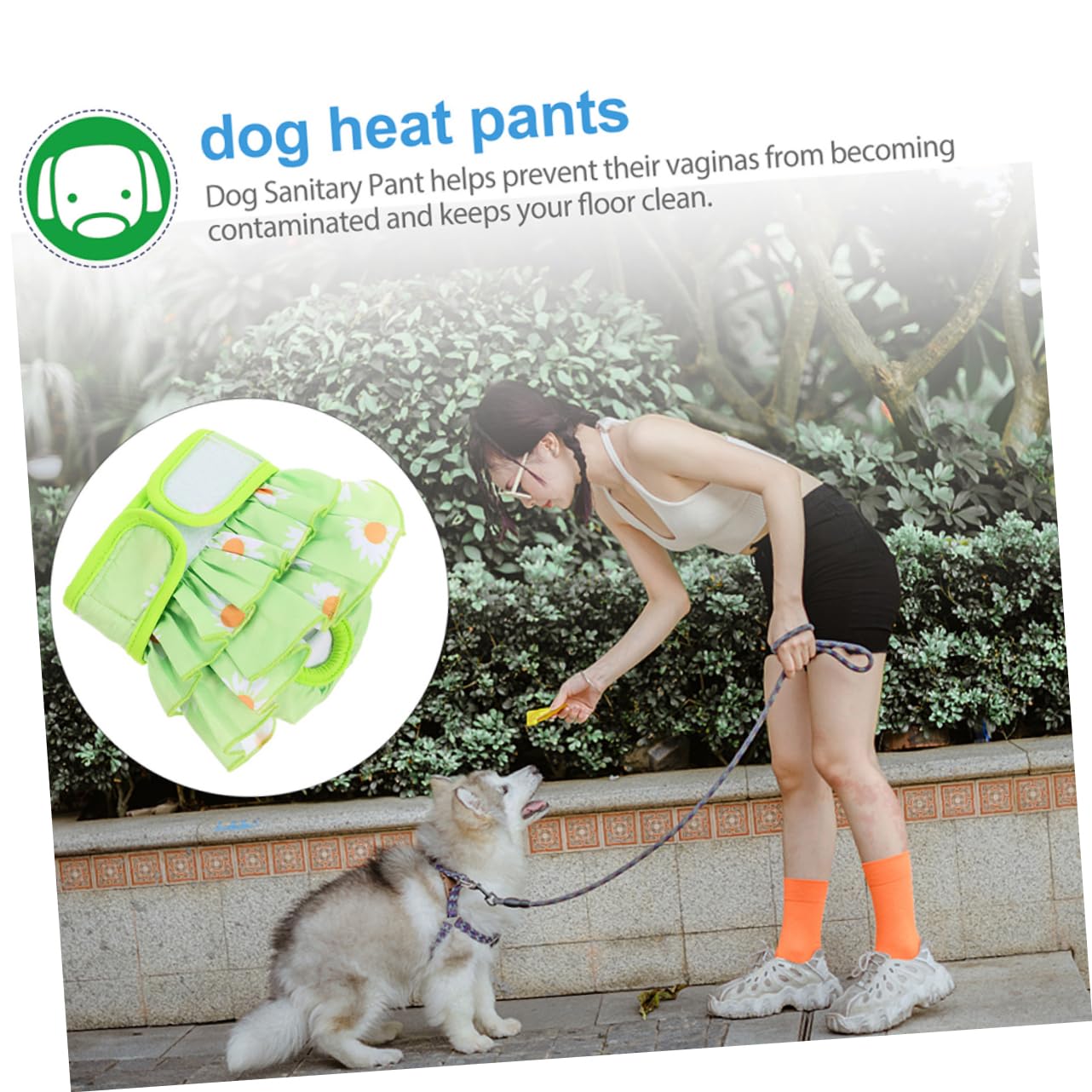 HOLIDYOYO Dog Sanitary Pants Washable Period Pants for Dogs Soft Comfortable Decorative for Sizes