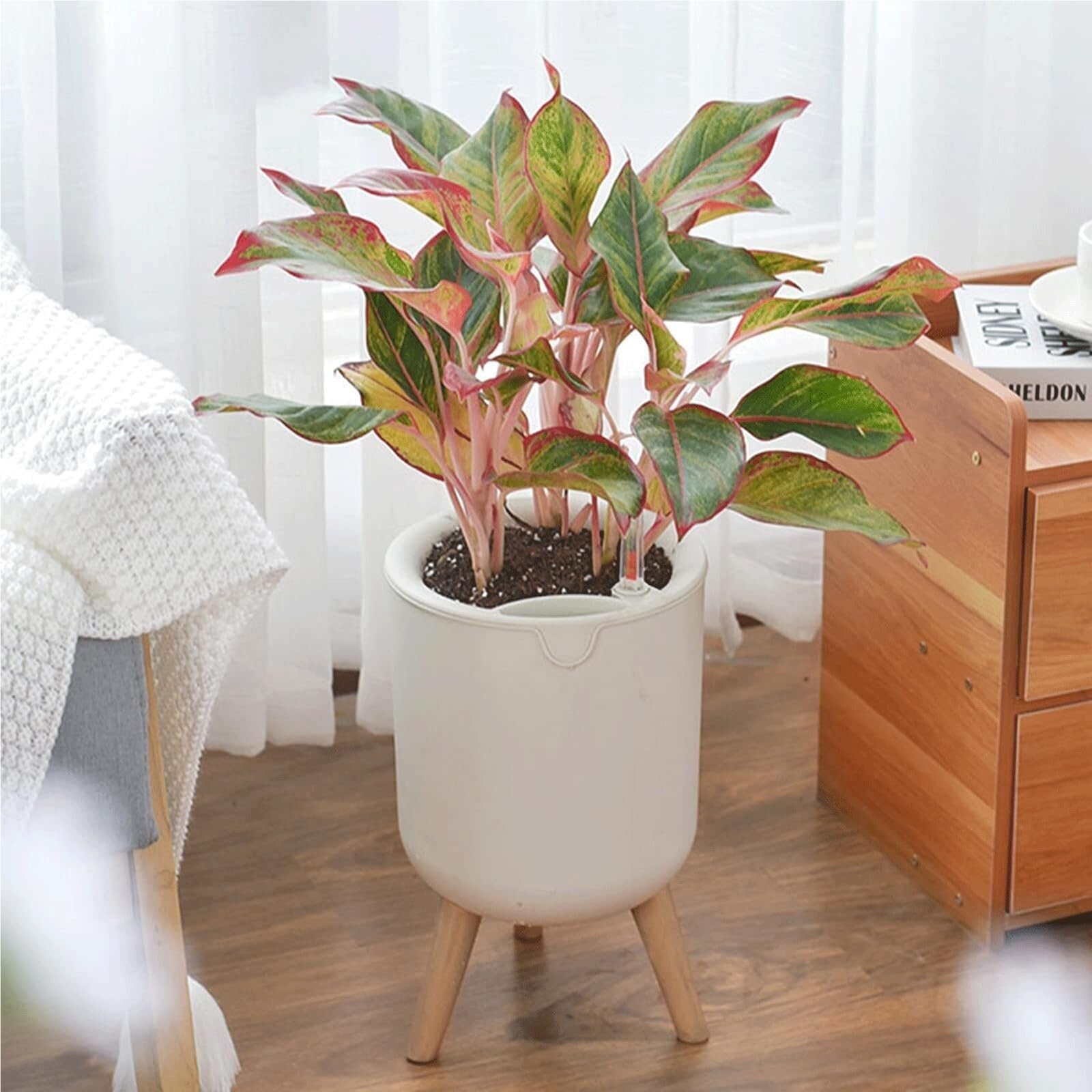 Vasi per piante Vaso Da Fiori Autoirrigante 8" For Piante Interno Con Indicatore Di Irrigazione, Bianco Regali per gli amanti delle piante