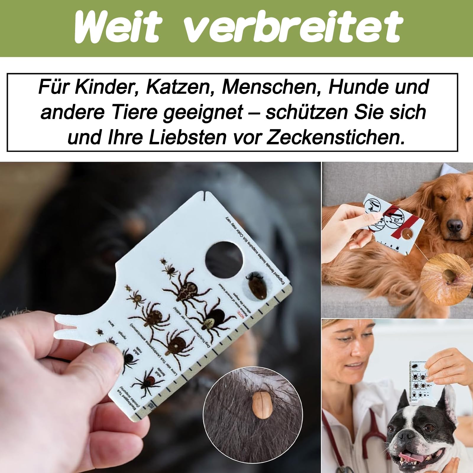 Carte De Retrait De Tiques - Tire-Tique Avec Loupe, Nettoyage Rapide Des Tiques, Parfait Pour Retirer Les Tiques, Avec Crochet Et Tire-Tiques, Pour Humains, Chiens, Chats Et Animaux Domestiques