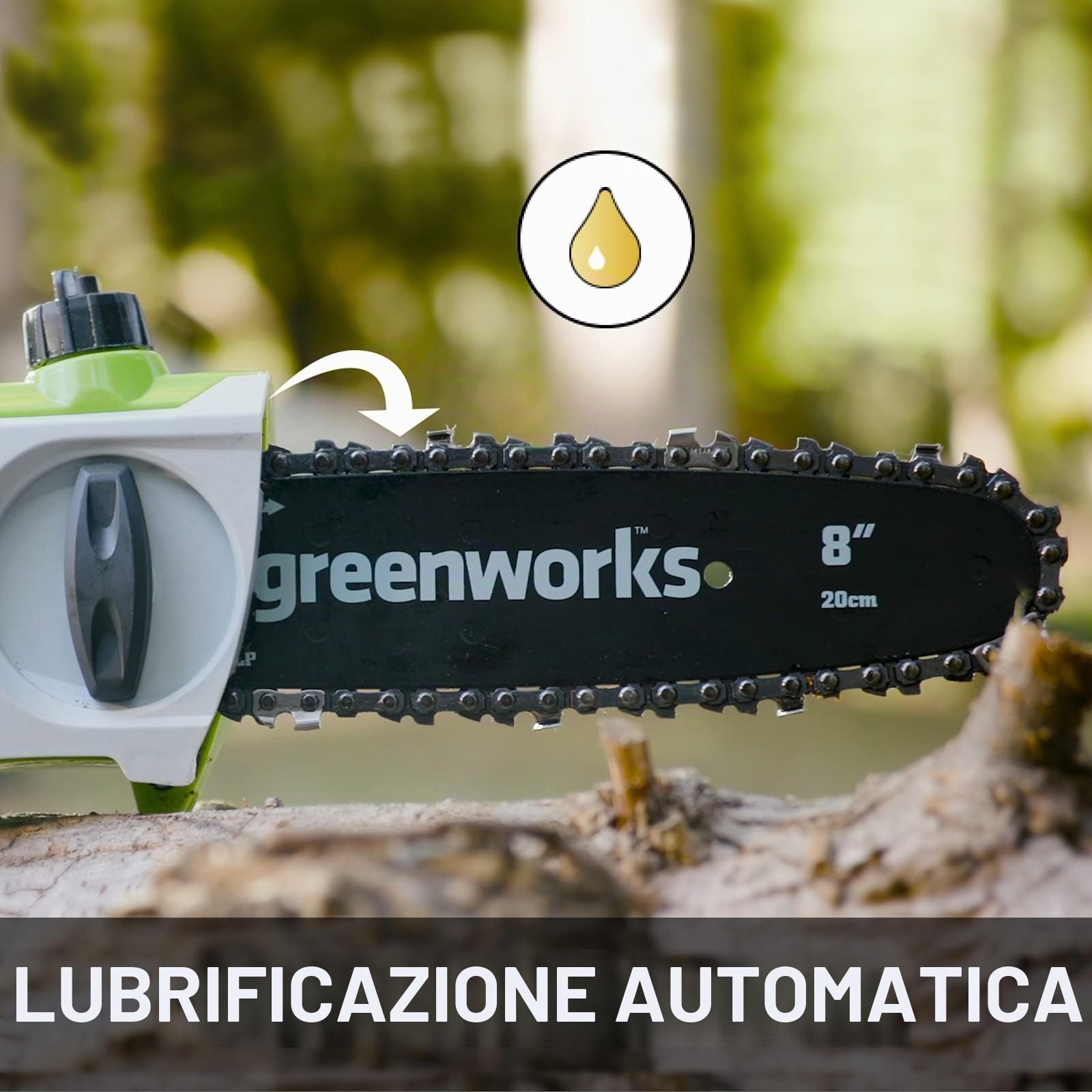 Greenworks Tools 2000107UA Potatore Telescopico con 2 Ah Batterie e Caricabatterie, 24 V, Verde, 20 cm (8") + Guida 20 cm (8") per Motosega, 29497
