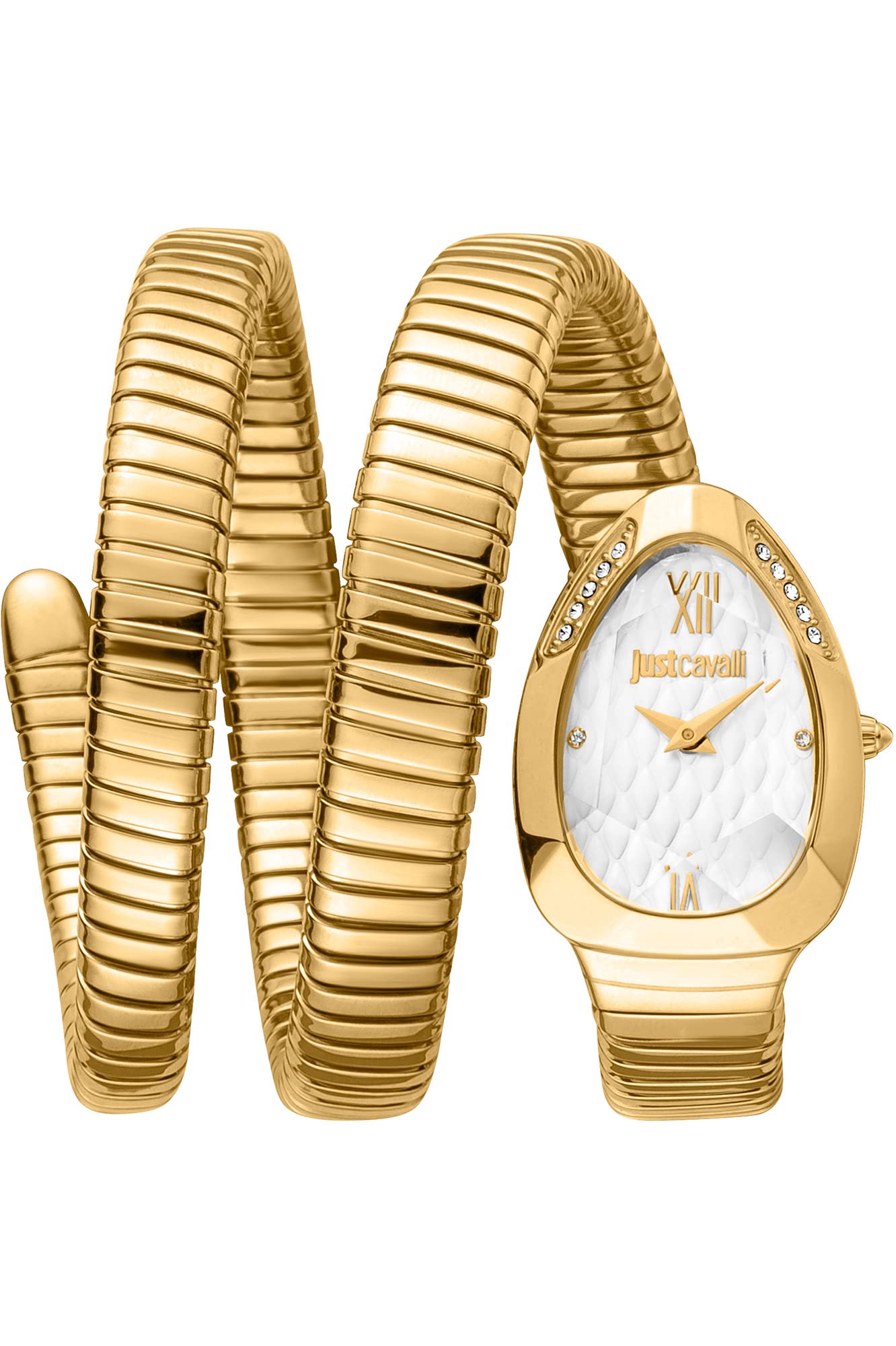 Just Cavalli Stainless Steel Women Analog Watchgold-Jc1L224M0035 (B0BLC8XXDZ) Amazon Price History, Amazon Price Tracker