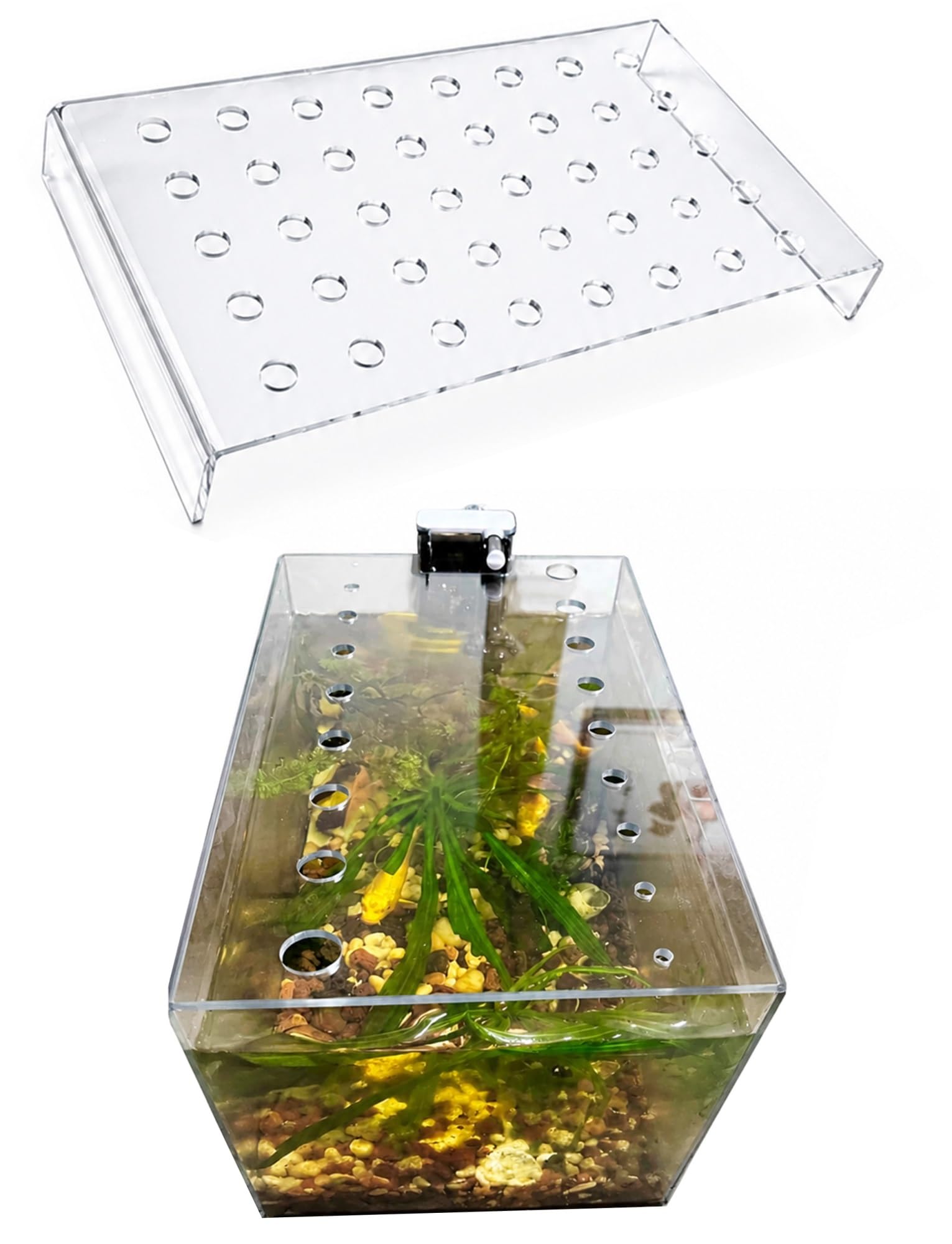 Acrylic Aquarium Lid