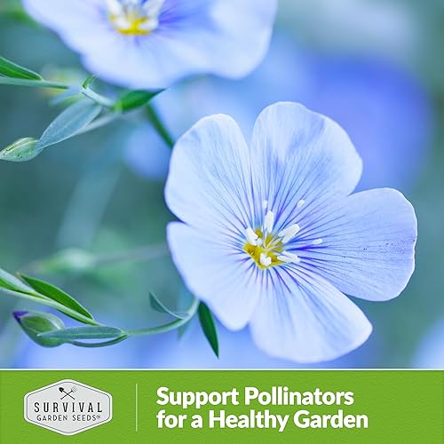 Miniatura 5 de Flax Lewis Blue Seed para plantar, 1 paquete con instrucciones para cultivar Linum lewisii en el jardín de flores de tu hogar, variedad de reliquia