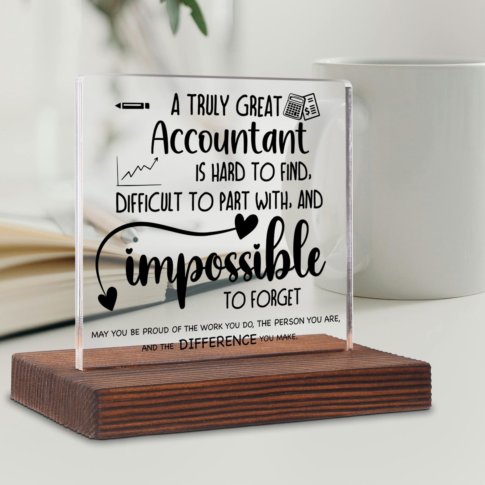 Accountant Gifts, Accountant Office Decor, Accountant Gifts for Women Men, Accountant Appreciation Thank You Gifts Accountant Gifts Tax Season Decorative Signs Plaques ABC80