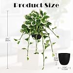 Fake Plants 19.7'' Artificial Potted Plant in Black Pot, Realistic Peperomia Obtusifolia Hanging Plants Indoor for Home Farmhouse Shelf Tabletop Decor