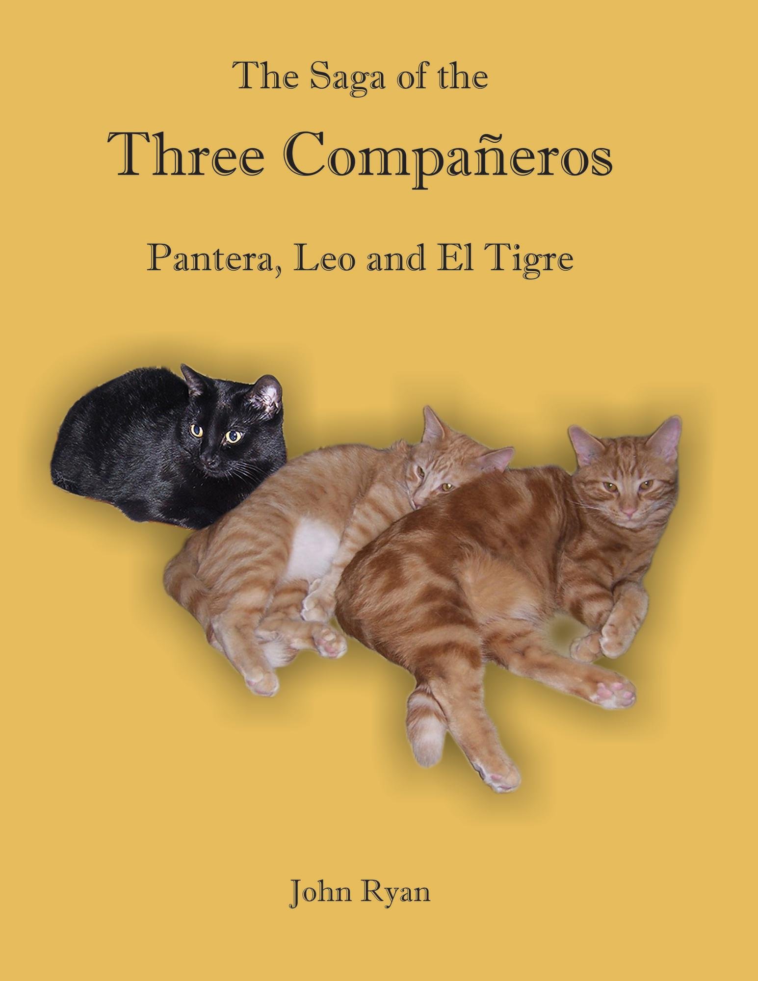 The Saga of the Three Compañeros Pantera, Leo and El Tigre