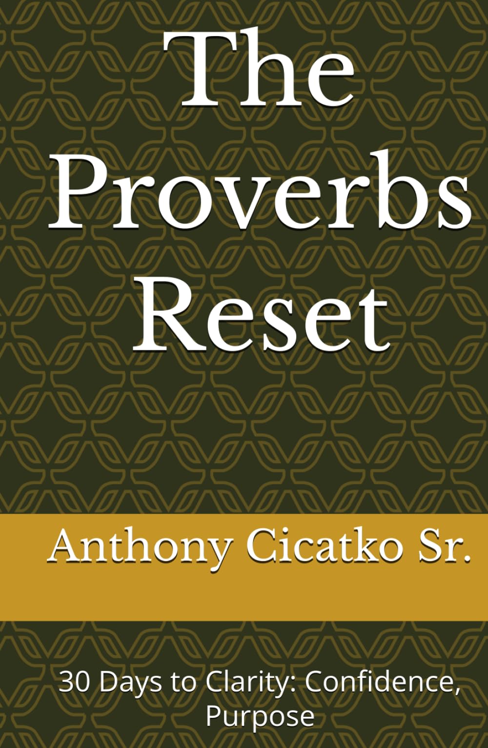 The Proverbs Reset: 30 Days to Clarity: Confidence, Purpose