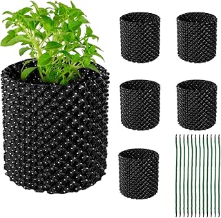 Air Pots For Plants Picks collage image 2