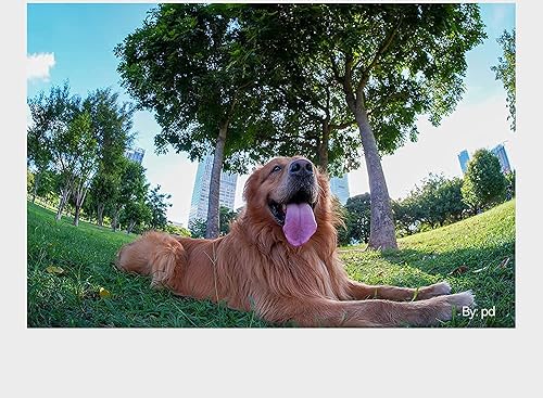 Miniatura 2 de TTArtisan Lente ojo de pez F2 APS-C de 0.295 in lente ojo de pez ultra gran angular de 180  Lente de enfoque manual de gran apertura para Sony E