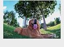 TTArtisan 7.5mm F2 APS-C Fisheye Lens 180° Ultra Wide Angle Large Aperture Manual Focus Lens for Sony E A6000 A6100 A6300 A6400 A6500 NEX-3 NEX-5-3N NEX-5N gallery image