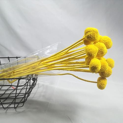 Vista 11 de 20 unidades de flores secas naturales, bolas de Billy amarillas, flores secas de 16 pulgadas, ramo de arreglos de flores para jarrones bohemios