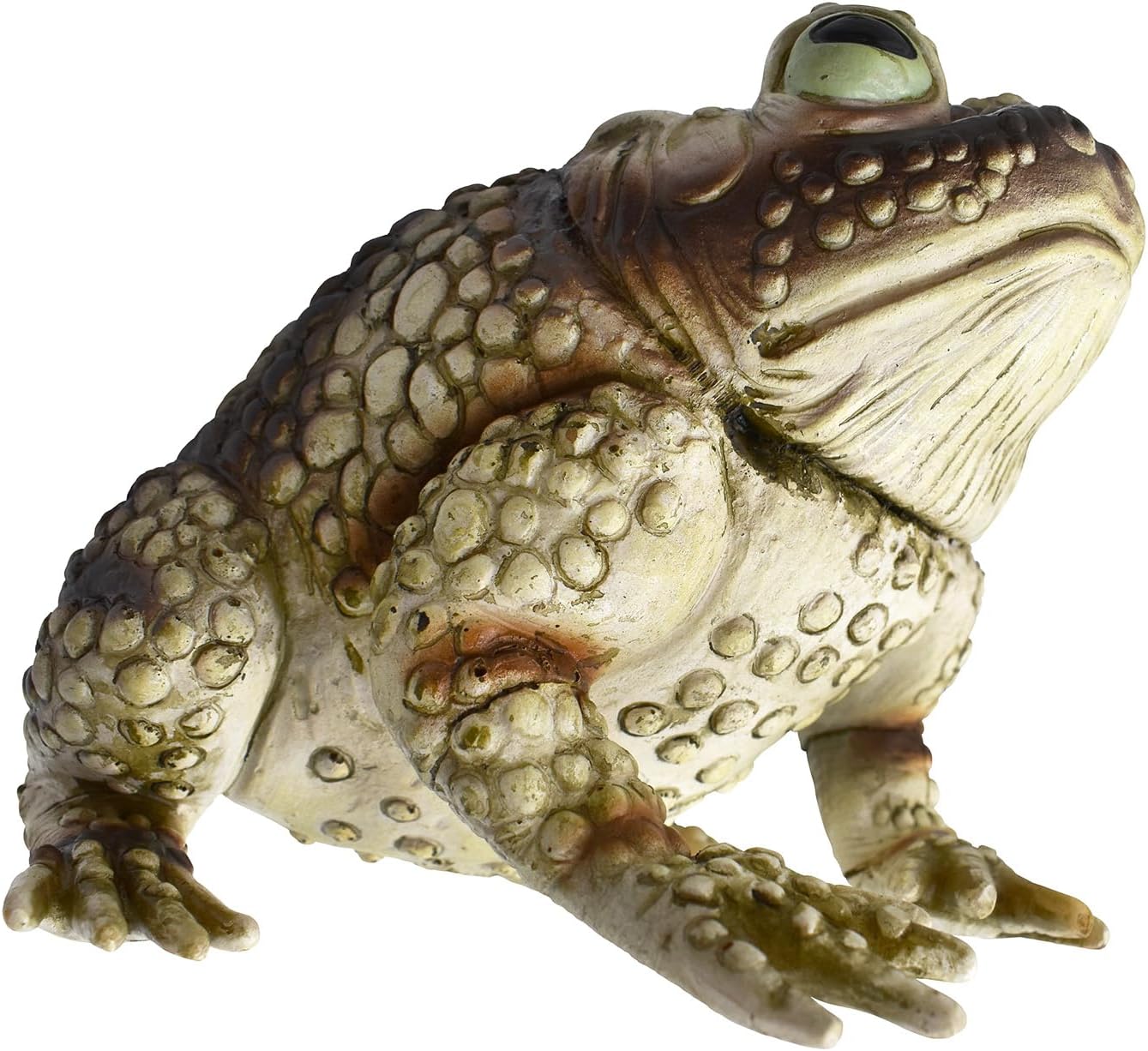 Nicky Bigs Novelties Morph Realistic Giant Green Witch Toad Halloween Prop 10” Latex Frog Statue for Haunted Indoor Outdoor Decor Creepy Garden Ornament Shelf Accent Gag Gift Spooky Decoration