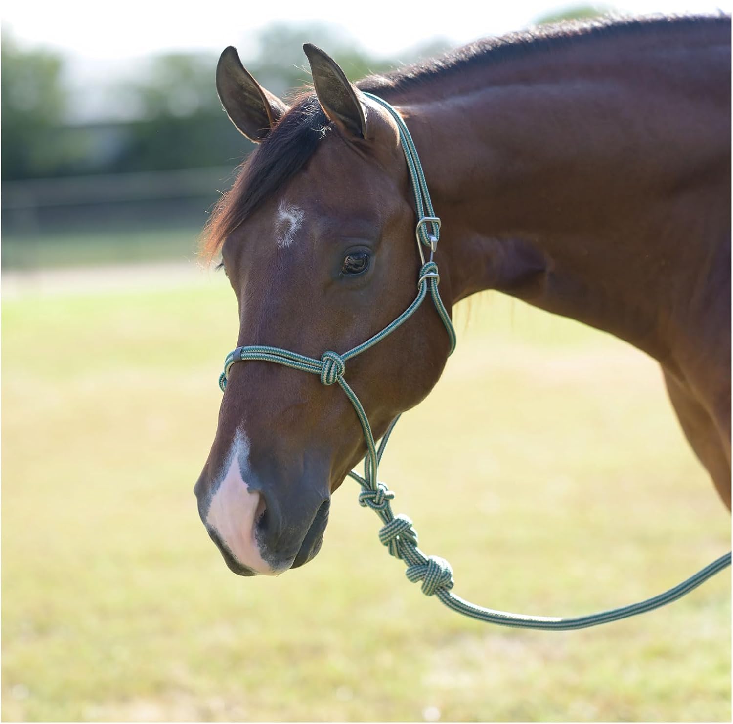 Professional's Choice Easy ON Rope Halter W/Lead