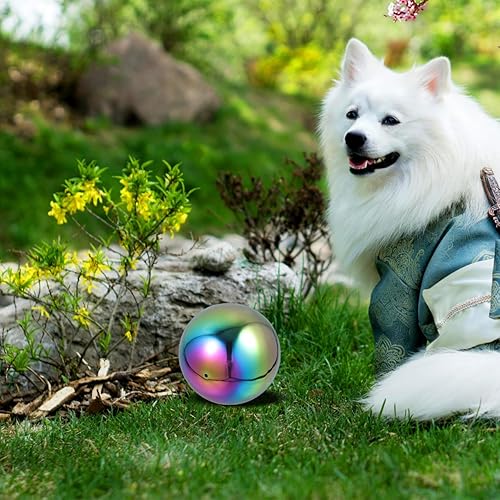 Miniatura 2 de Healvian Bola de observación de acero inoxidable espejo de jardín globo superficie bola esfera redonda decoración jardín decoración 5.9 in