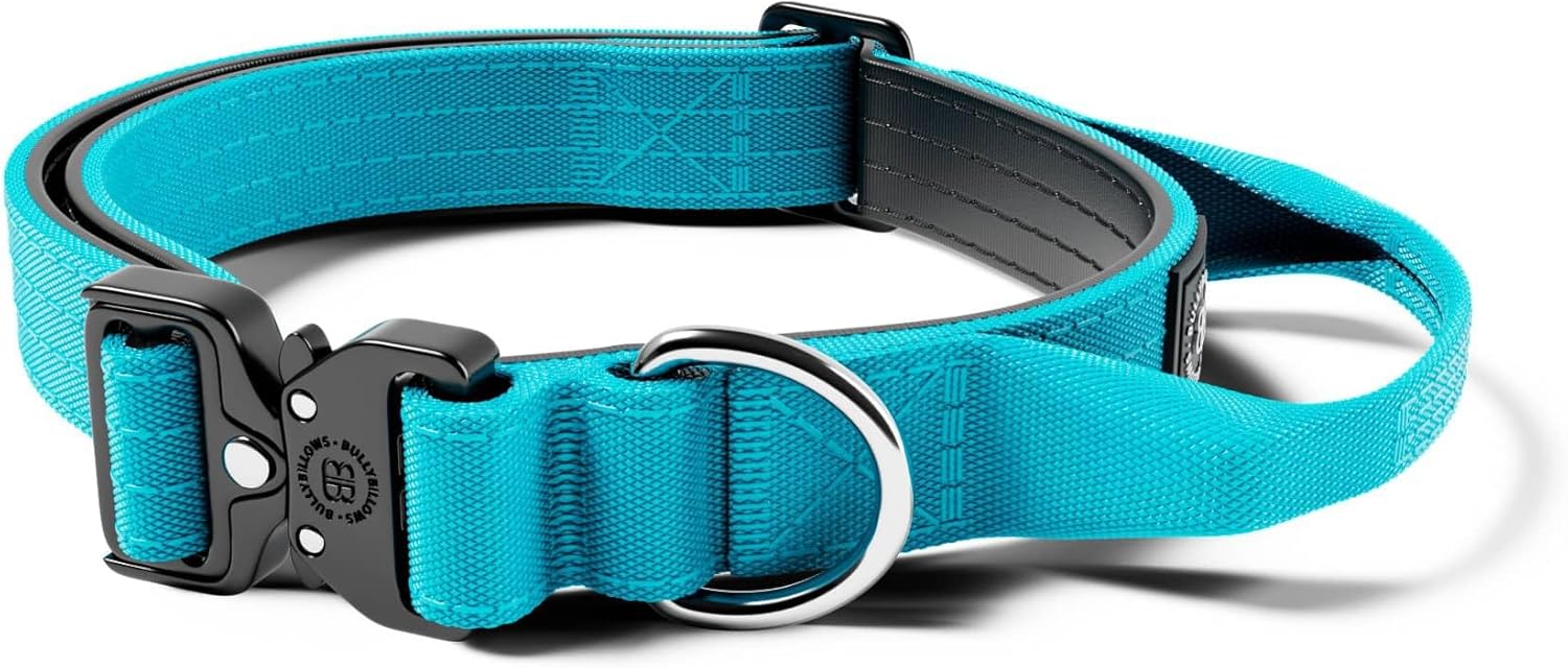 BullyBillows Dog Collar 2.5cm Combat® Collar With Handle & Pressure