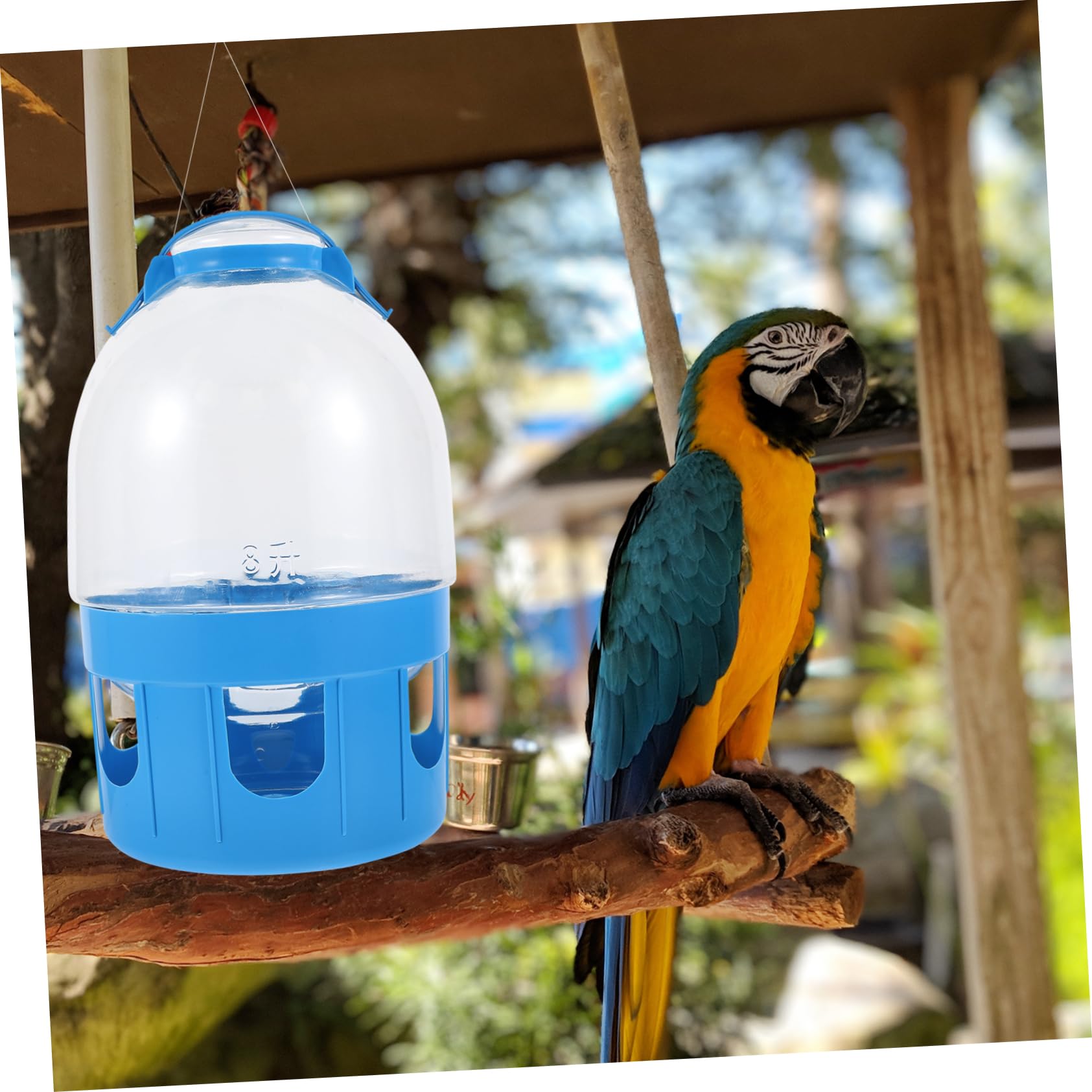 Angoily Comedero para Palomas de Gran Capacidad de Almacenamiento Apto para Familias Y con Báscula para Pájaros