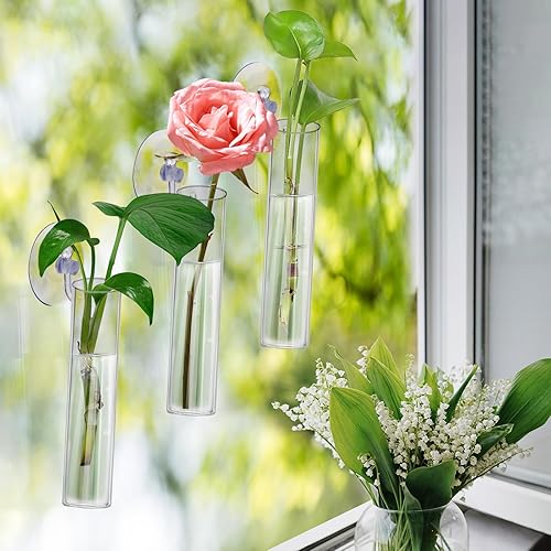 Miniatura 6 de Estaciones de propagación de ventana de pared, 6 macetas colgantes de pared, contenedor de terrario de vidrio, estación de propagación de plantas,