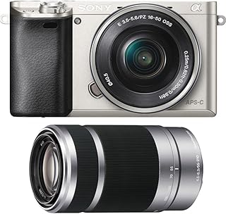 Sony Alpha a6000 24.3MP Digital Camera with 16-50mm Power Zoom and 55-210mm Lenses (Silver)