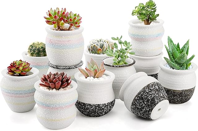Dicunoy Set of 12 Mini Succulent Pot, 6cm H Tiny Ceramic Planters, Porcelain Planter with Drainage Hole Snowflakes Glazed, Ideal for Home Office Bookshelf Frame Decor