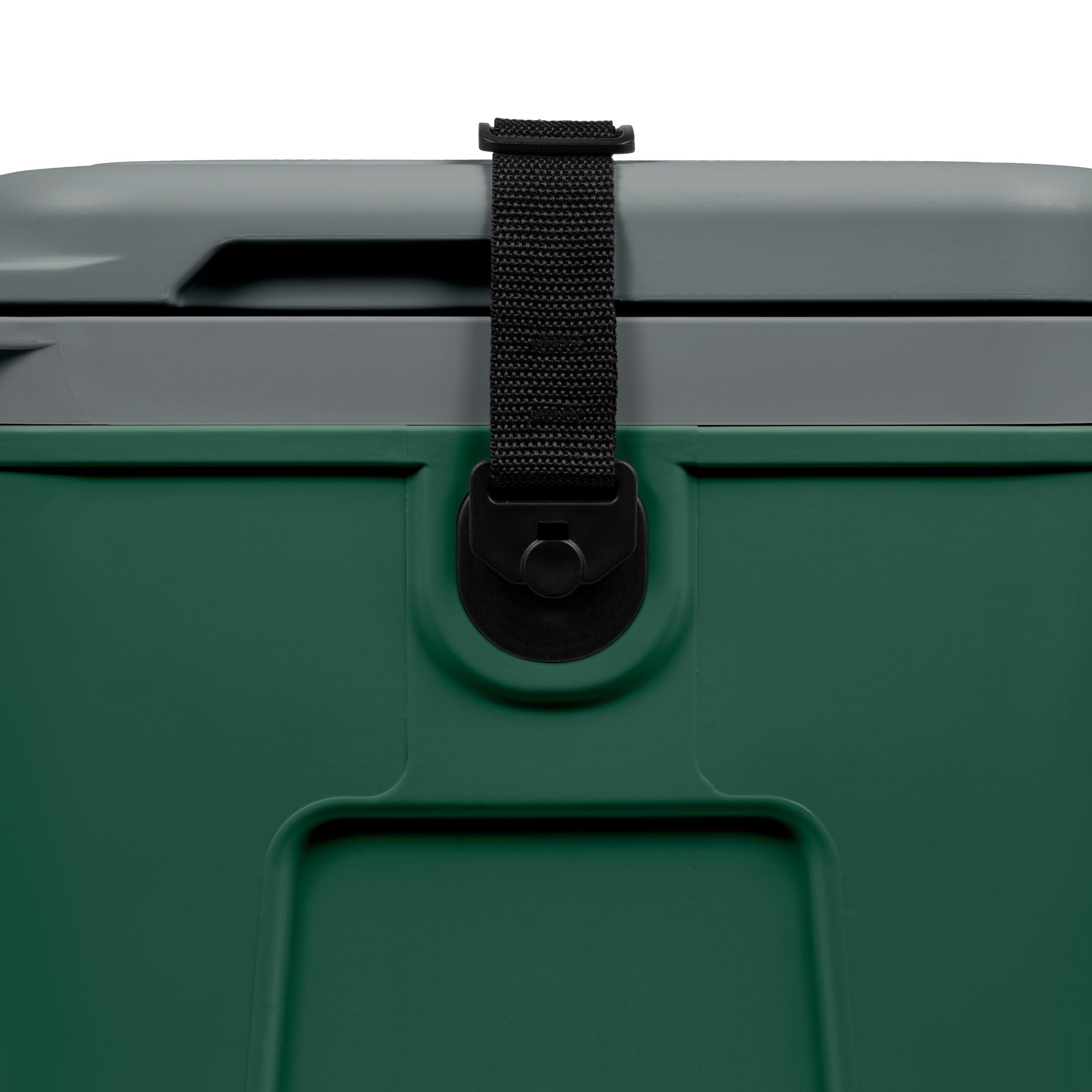 Steamy BMX 21 Glacière spécialement conçue pour Le déjeuner et Le Chantier avec séparateur et Plateau d'insertion, 21 litres, Verte