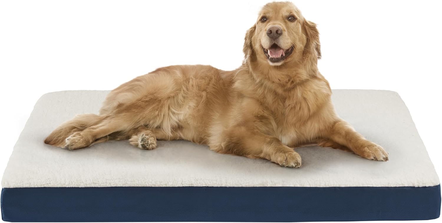 Codi Extra Large Dog Beds Orthopedic Dog Beds XL for